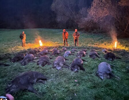 WhatsApp Image 2025-08-18 at 19.27.49 (4)