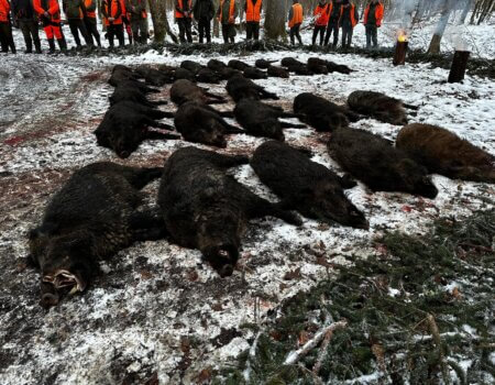 WhatsApp Image 2025-08-18 at 19.29.23 (1)