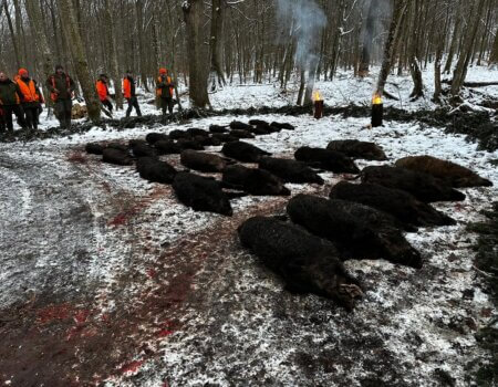 WhatsApp Image 2025-08-18 at 19.29.23