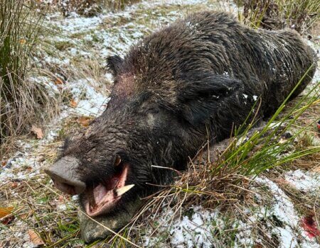 WhatsApp Image 2025-08-18 at 19.29.47