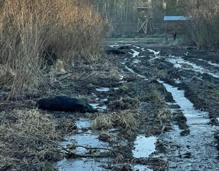 WhatsApp Image 2025-08-18 at 19.32.14