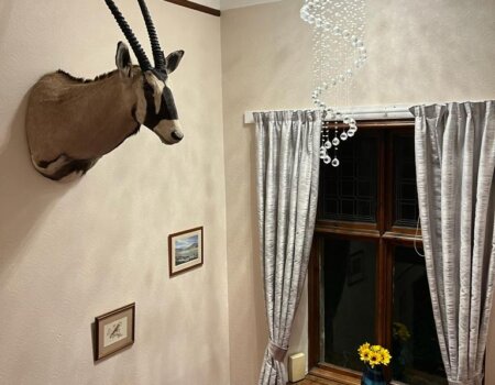 wta_2355_WhatsApp Image 2022-11-14 at 6.41.11 PM (2)