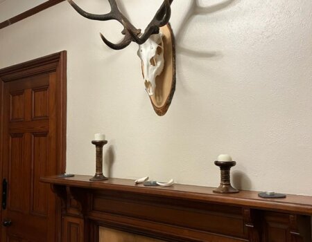 wta_2355_WhatsApp Image 2022-11-14 at 6.41.11 PM