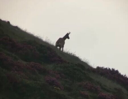 wta_2356_PHOTO-2023-09-14-10-34-44 2