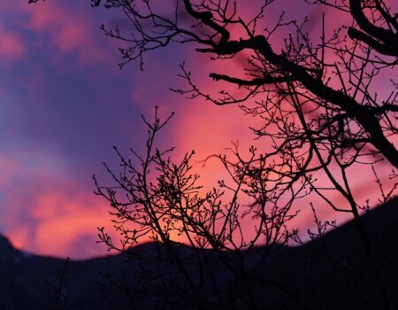 wta_2356_PHOTO-2023-09-14-10-37-19