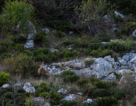 wta_2356_PHOTO-2023-09-14-13-53-11 15