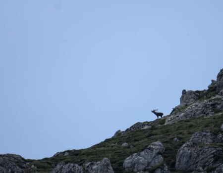 wta_2356_PHOTO-2023-09-14-13-53-11 17