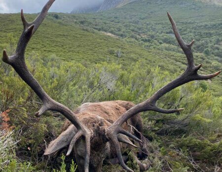 wta_2356_PHOTO-2023-09-14-13-53-11 4