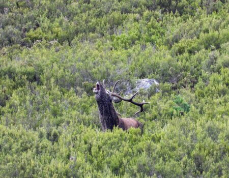 wta_2357_PHOTO-2023-09-14-13-59-47 2