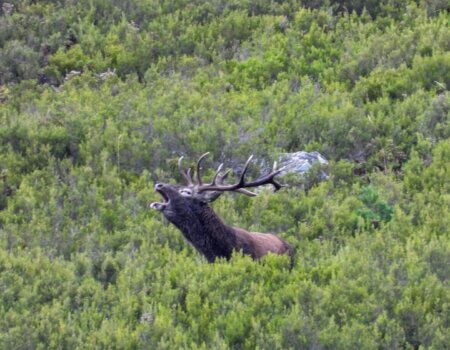 wta_2357_PHOTO-2023-09-14-13-59-47