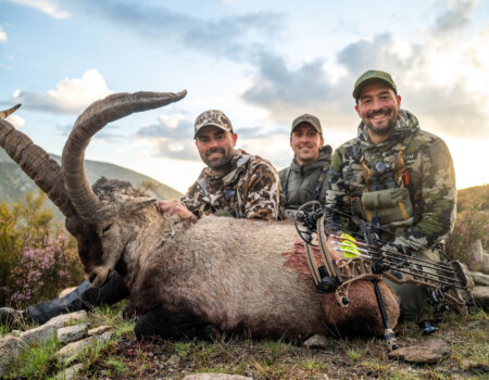 wta_2358_2025.05.06.195216-Gredos-7M403098-EDIT