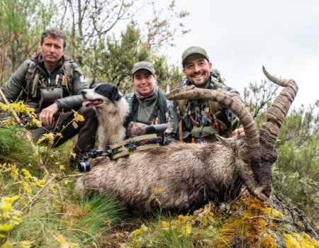 wta_2358_2025.05.08.121315-Gredos-7M403256-EDIT