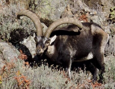 wta_2358_PHOTO-2023-09-14-10-28-10 2