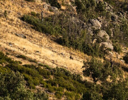 wta_2358_PHOTO-2023-09-14-10-28-13