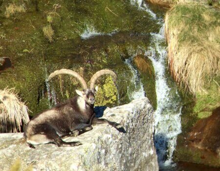 wta_2358_PHOTO-2023-09-14-10-28-14 2