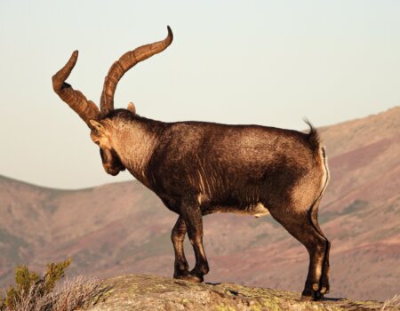 wta_2358_PHOTO-2023-09-14-10-28-16