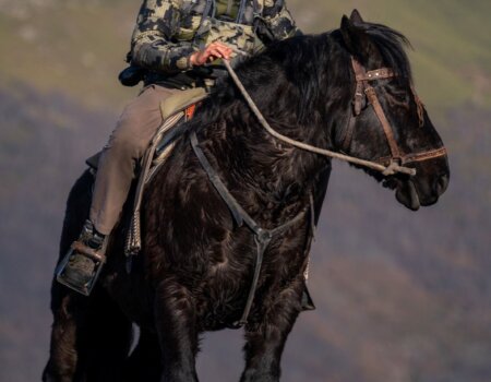 wta_2358_PHOTO-2023-09-14-10-28-18