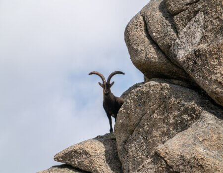 wta_2358_PHOTO-2023-09-14-10-28-20