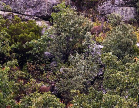 wta_2358_PHOTO-2023-09-14-10-43-32 2