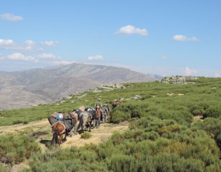 wta_2358_PHOTO-2023-09-14-10-43-39 2