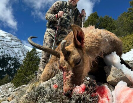 wta_2358_WhatsApp Image 2024-04-02 at 13.45.16