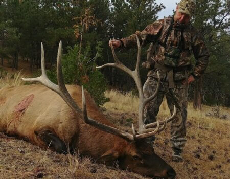 wta_2365_0924200831-HDR-Original (1) (2)