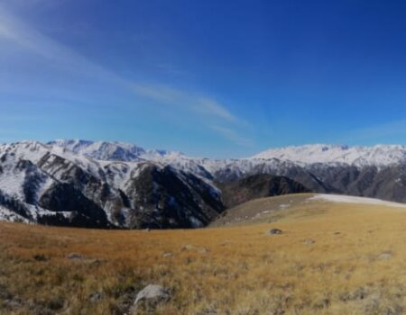 wta_2366_37453cf6-85e4-4140-9ba4-a4e939e914dd