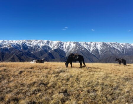 wta_2366_be9a87a2-8a94-4308-8f86-6bf935a2f3bd