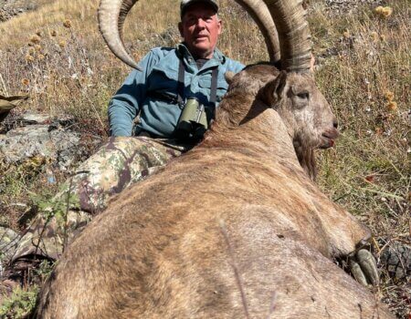 wta_2369_WhatsApp Image 2024-09-28 at 10.40.50 (1)