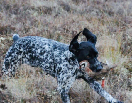 wta_2370_WhatsApp Image 2023-10-07 at 15.57.48