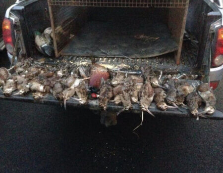 wta_2370_WhatsApp Image 2023-10-07 at 15.57.49 (1)