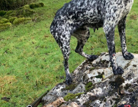 wta_2370_WhatsApp Image 2023-10-07 at 15.57.49 (2)