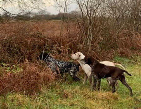 wta_2370_WhatsApp Image 2023-10-07 at 15.57.49 (3)