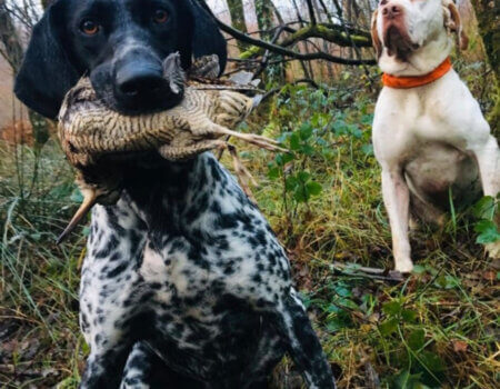 wta_2370_WhatsApp Image 2023-10-07 at 15.57.49