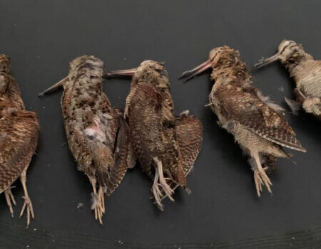 wta_2370_WhatsApp Image 2023-10-07 at 15.57.50 (1)