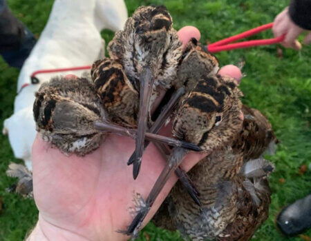 wta_2370_WhatsApp Image 2023-10-07 at 15.57.50 (2)