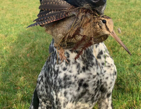 wta_2370_WhatsApp Image 2023-10-07 at 15.57.51 (1)