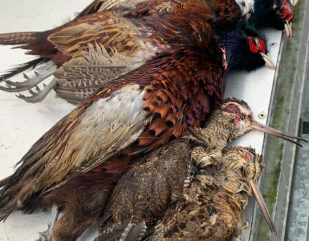 wta_2370_WhatsApp Image 2023-10-07 at 15.57.51 (3)