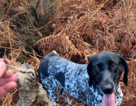 wta_2370_WhatsApp Image 2023-10-07 at 15.57.51 (4)