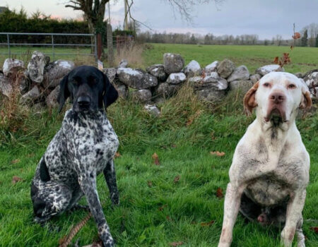 wta_2370_WhatsApp Image 2023-10-07 at 15.57.51