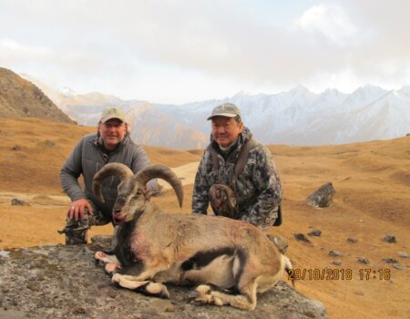 wta_2372_WhatsApp Image 2023-10-07 at 19.38.43