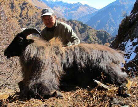 wta_2372_WhatsApp Image 2023-10-07 at 19.39.46