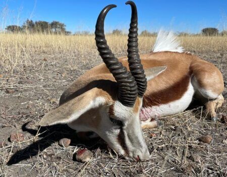 wta_2373_PHOTO-2023-06-29-07-31-56 3