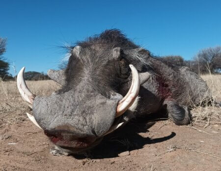 wta_2373_PHOTO-2023-06-29-07-31-56