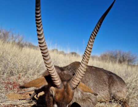 wta_2373_PHOTO-2023-08-11-09-59-01 2