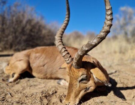 wta_2373_PHOTO-2023-08-11-09-59-01 3