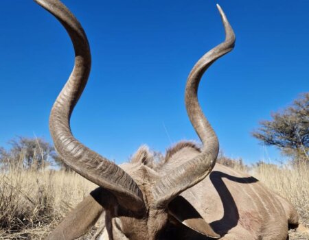 wta_2373_PHOTO-2023-08-11-09-59-01