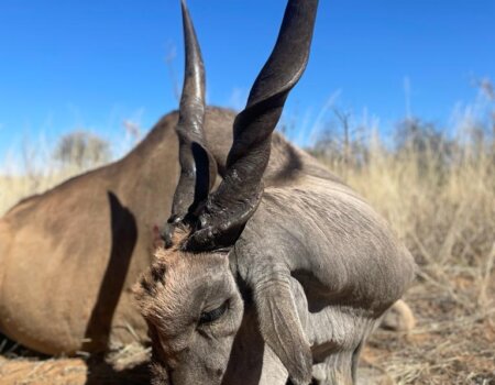 wta_2373_PHOTO-2023-08-11-09-59-01 5