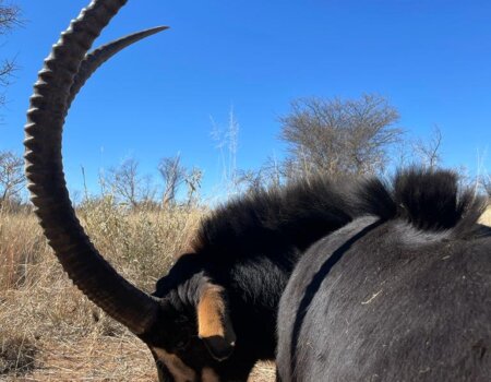 wta_2373_PHOTO-2023-08-11-09-59-01 6