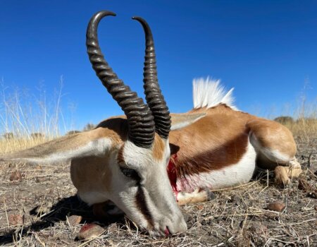 wta_2373_PHOTO-2023-08-11-09-59-01 7